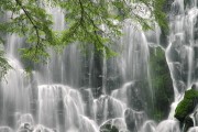 世界短道科教结合计划：中国学校课程纳入短道训练模块，2021年世界短道锦标赛